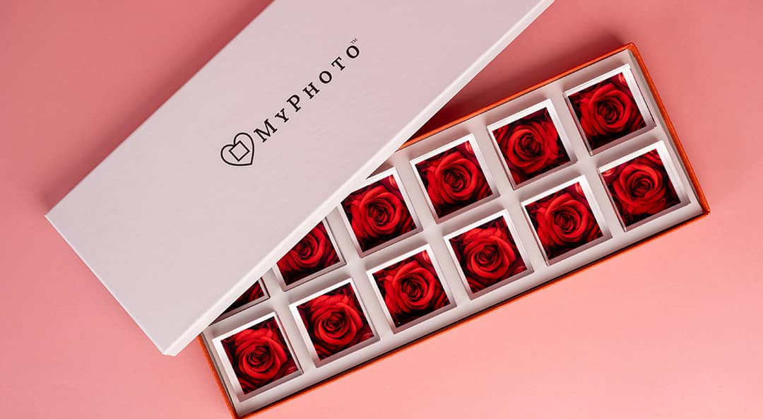 Acrylic MiniBlox Roses